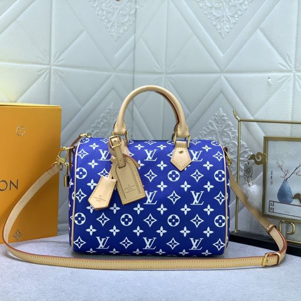 Louis Vuitton Speedy Bags - Click Image to Close